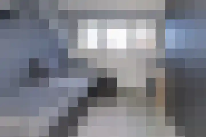 van Lingenshoeve 5 Hattem thumbnail 41