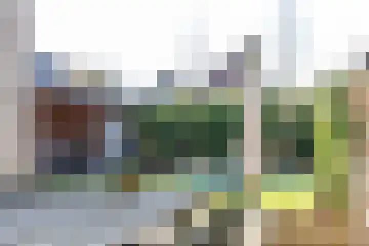 van Lingenshoeve 5 Hattem thumbnail 47