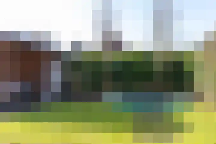 van Lingenshoeve 5 Hattem thumbnail 48