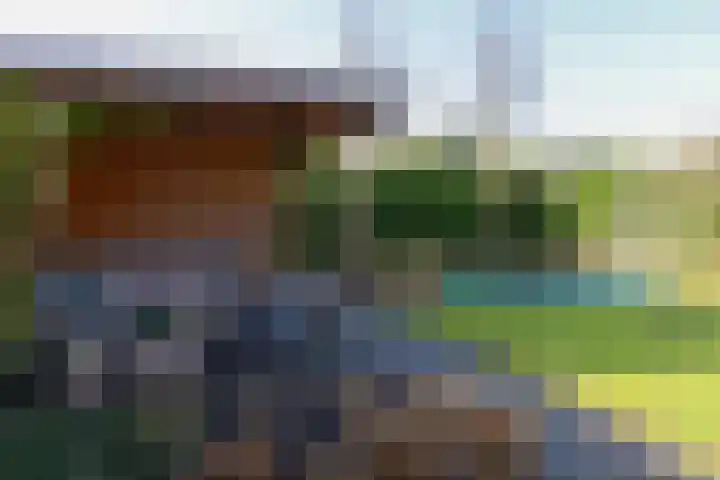 van Lingenshoeve 5 Hattem thumbnail 50