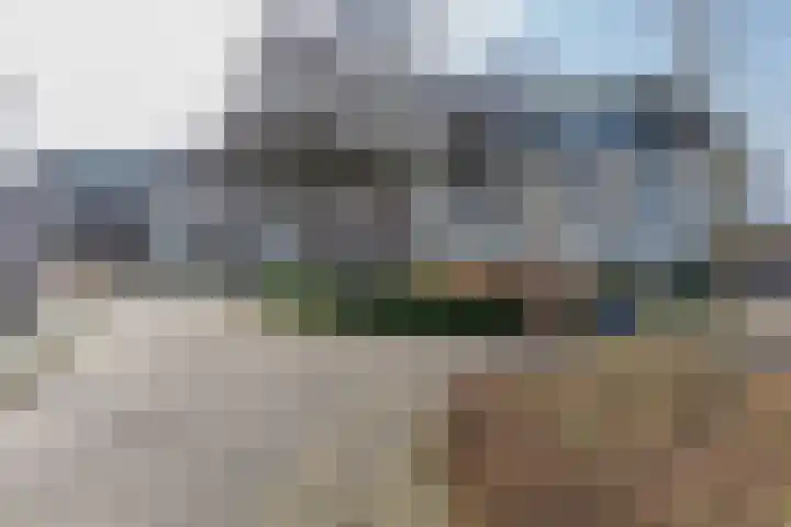van Lingenshoeve 5 Hattem thumbnail 52