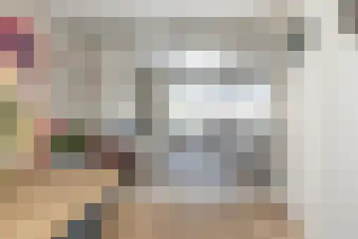 van Lingenshoeve 5 Hattem thumbnail 9