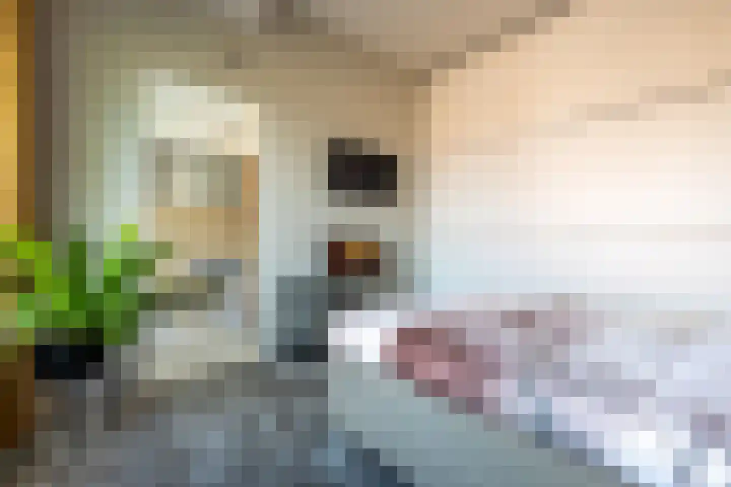 Van Loenshof 8 E Enschede thumbnail 21