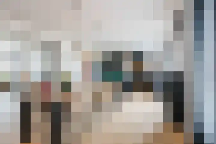 Van Loëstraat 32 Gemert thumbnail 16