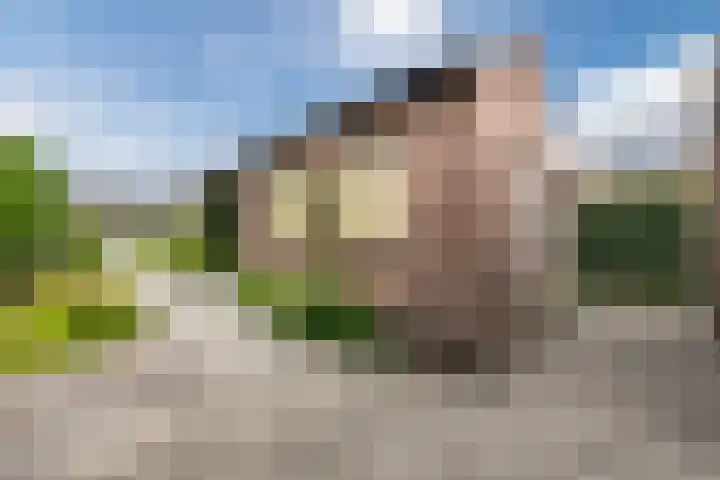 Van Loëstraat 32 Gemert thumbnail 29