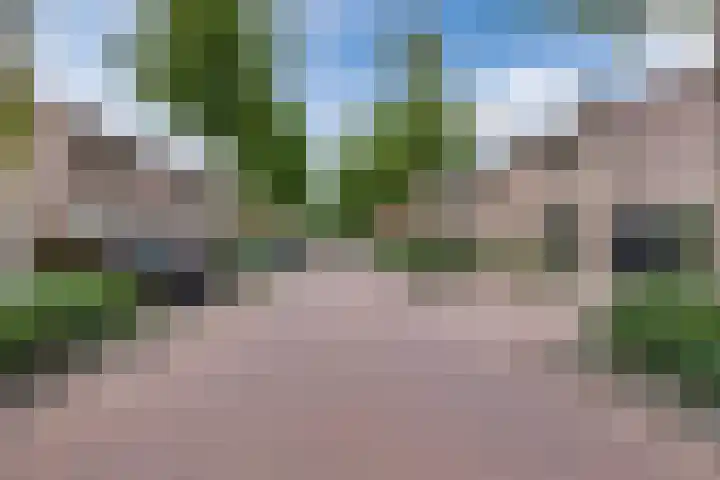 Van Loëstraat 32 Gemert thumbnail 37