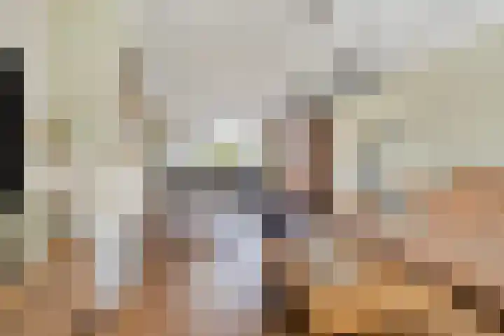 Van Loëstraat 33 Gemert thumbnail 13