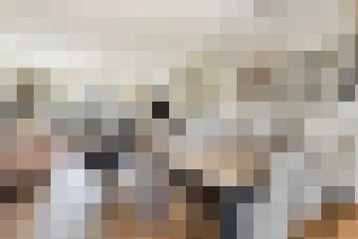Van Loëstraat 33 Gemert thumbnail 15