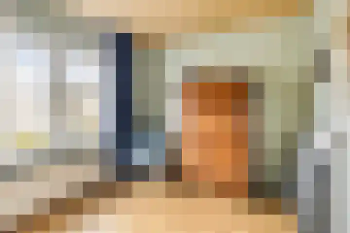Van Loëstraat 33 Gemert thumbnail 29