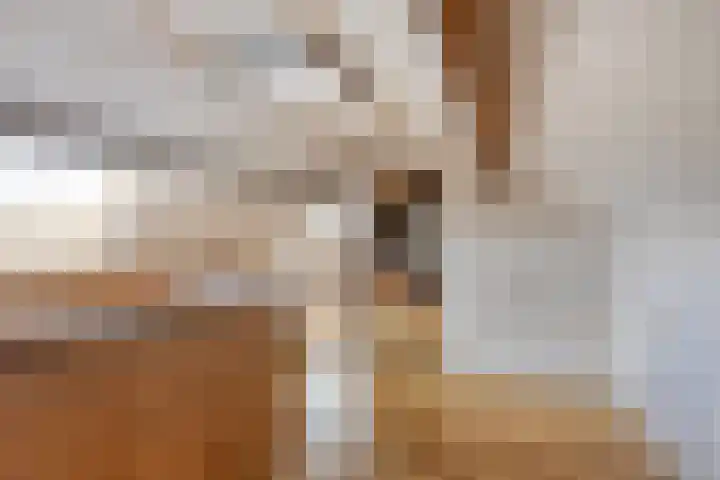 Van Loëstraat 33 Gemert thumbnail 31