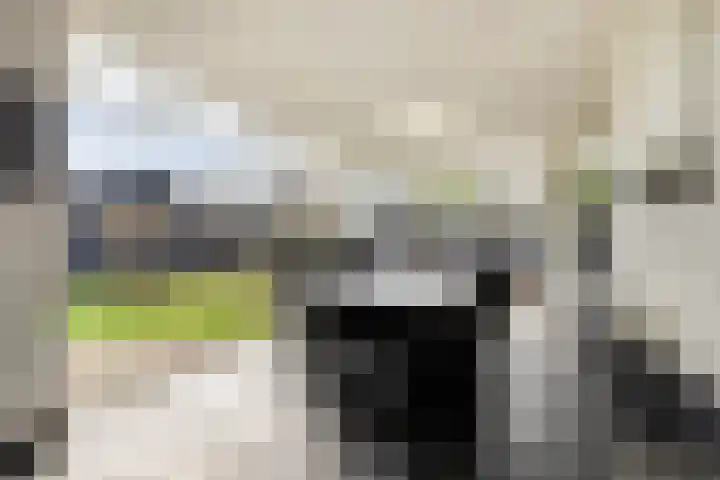 Van Loëstraat 33 Gemert thumbnail 33