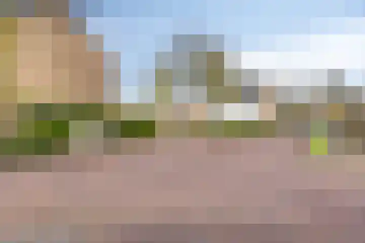 Van Loëstraat 33 Gemert thumbnail 39