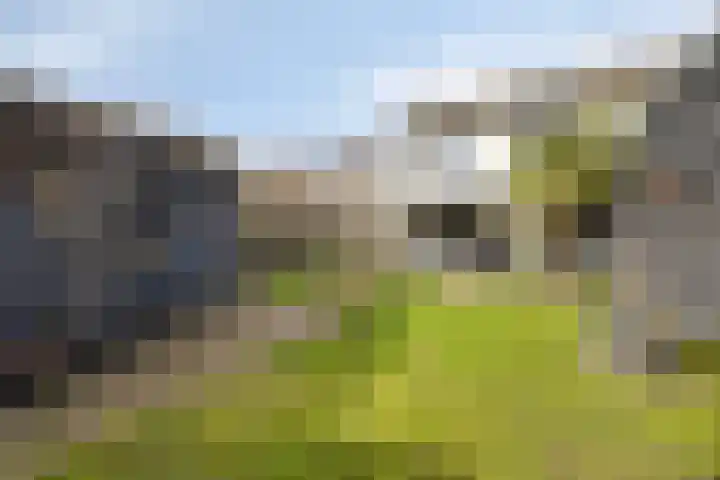 Van Loëstraat 33 Gemert thumbnail 5