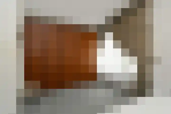 van Lommstraat 2 Maasbree thumbnail 18