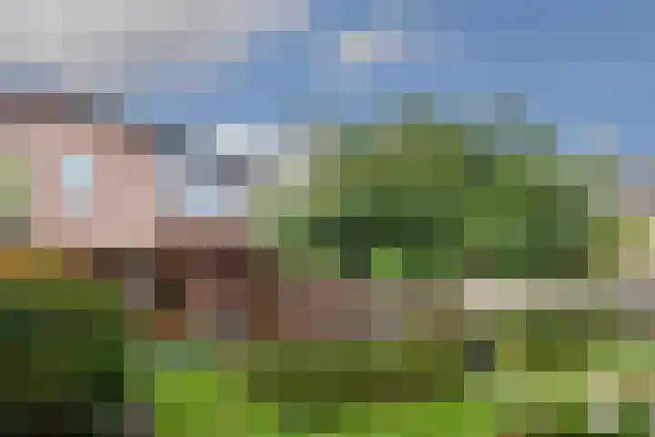 van Lommstraat 2 Maasbree thumbnail 24
