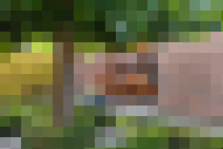 van Lommstraat 2 Maasbree thumbnail 26
