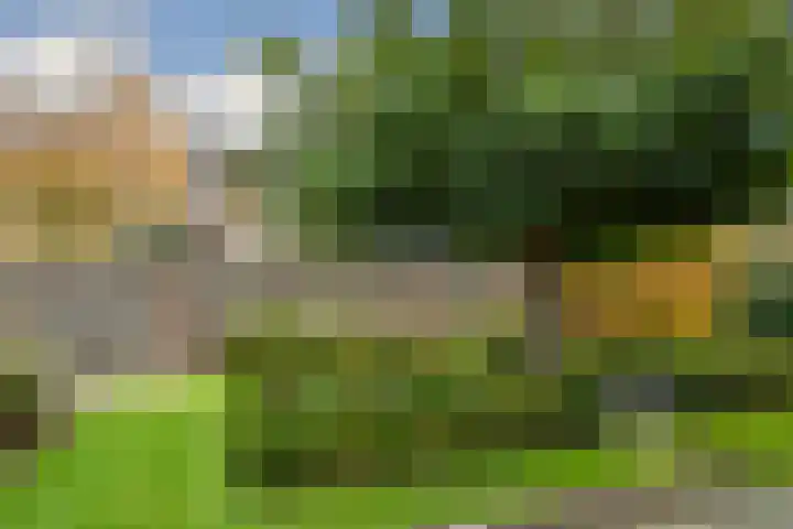 van Lommstraat 2 Maasbree thumbnail 28
