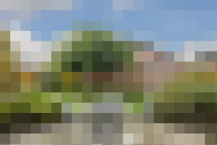 van Lommstraat 2 Maasbree thumbnail 29