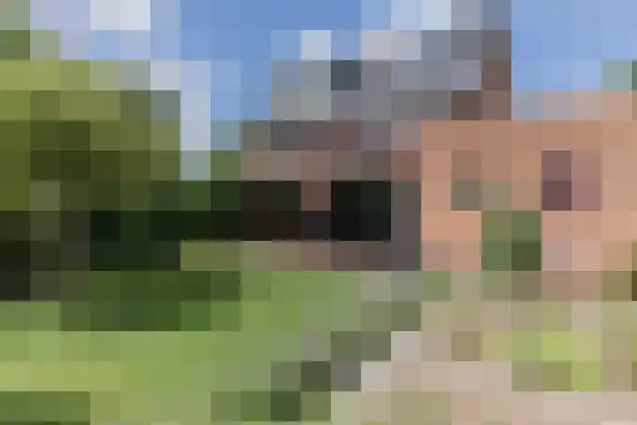 Screenshot van de website van www.vanlonkhuizen.nl