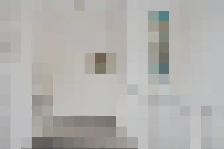 van Loonstraat 1 C St.-Annaparochie thumbnail 23