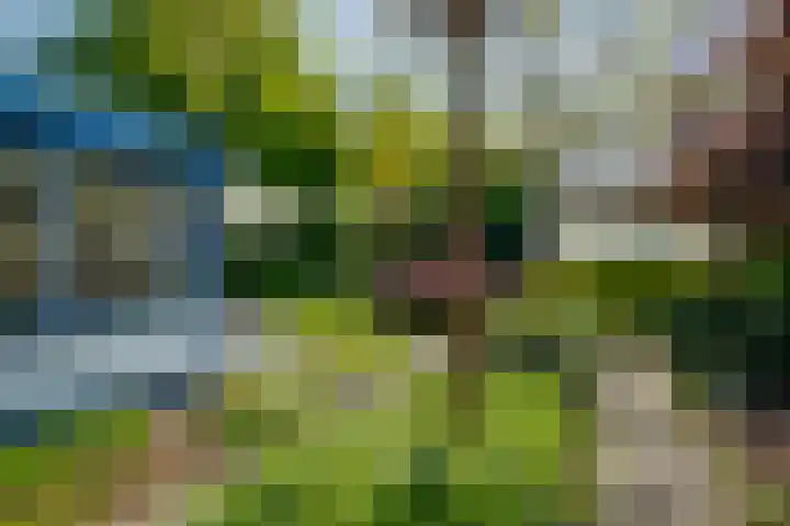 van Lutterveltplein 10 Lochem thumbnail 20