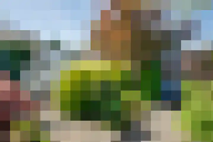van Lutterveltplein 10 Lochem thumbnail 23