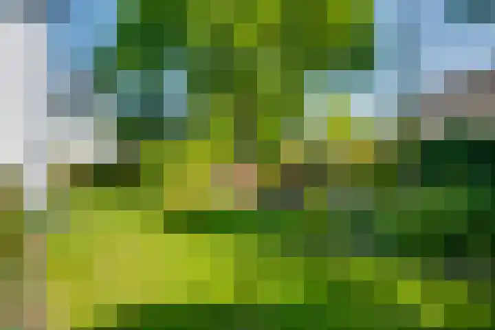 van Lutterveltplein 10 Lochem thumbnail 25