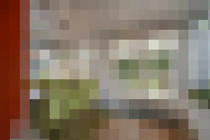 van Lutterveltplein 10 Lochem thumbnail 8