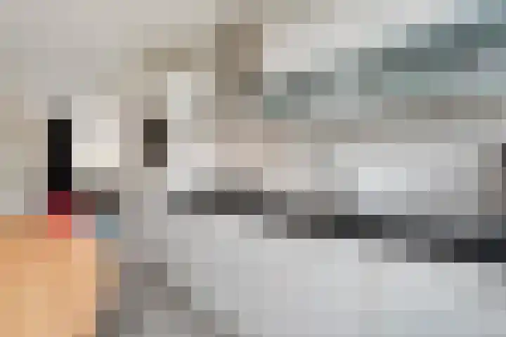 Van Maanenware 50 Zwolle thumbnail 10