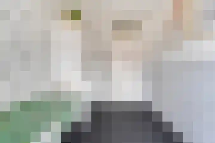 Van Maanenware 50 Zwolle thumbnail 20