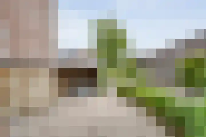 Van Maanenware 50 Zwolle thumbnail 31