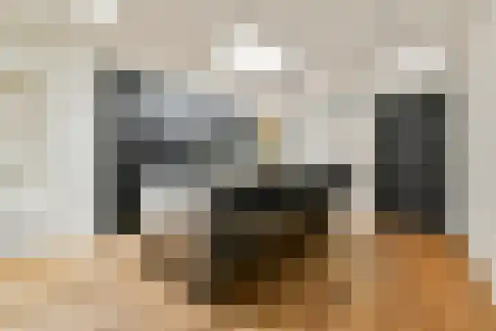Van Marumstraat 32 Haarlem thumbnail 8