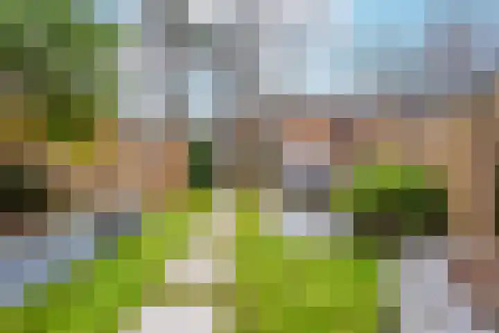 Van Meellaan 12 Soesterberg thumbnail 17