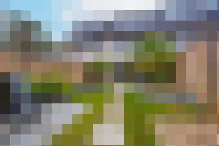 Van Meellaan 12 Soesterberg thumbnail 18