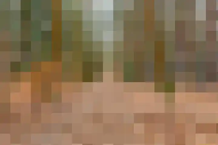 Van Meellaan 12 Soesterberg thumbnail 33