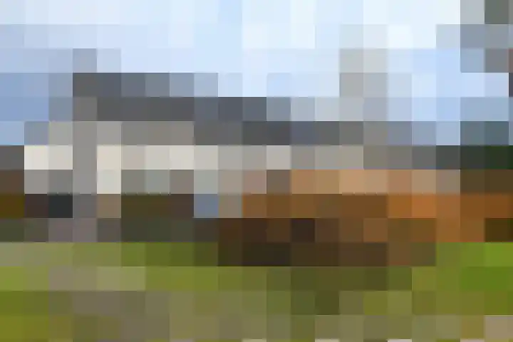 Van Meellaan 19 Soesterberg thumbnail 23