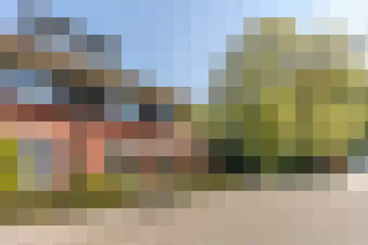 van Meerveltweg 2 Hattem thumbnail 67