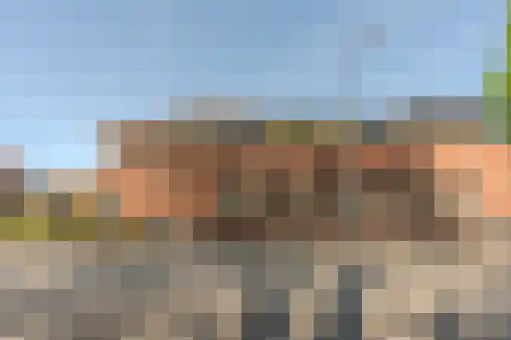 van Meerveltweg 2 Hattem thumbnail 69
