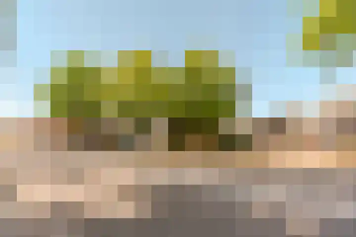van Meerveltweg 2 Hattem thumbnail 71
