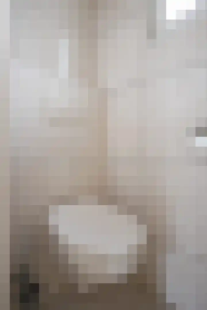 Van Mereheymstraat 31 Herten thumbnail 5