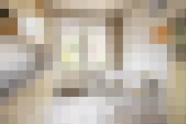 Van Mereheymstraat 31 Herten thumbnail 7