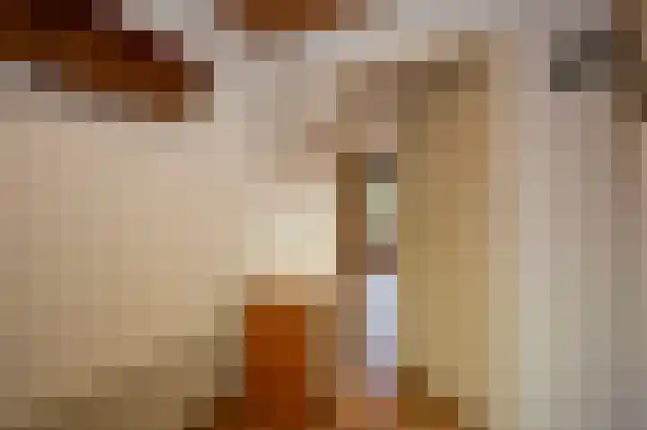 van Middelhovenstraat 67 Axel thumbnail 5