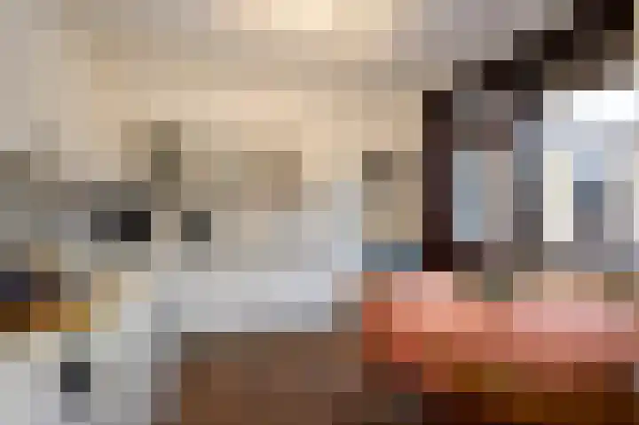 van Middelhovenstraat 67 Axel thumbnail 8