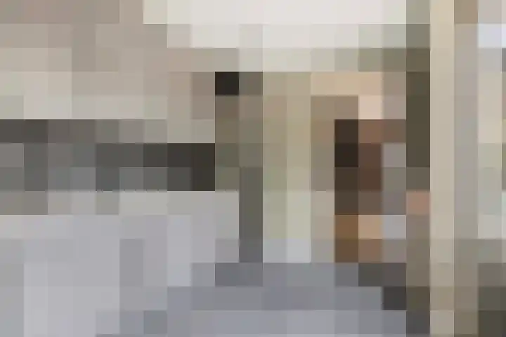 Van Montfoortstraat 2 De Meern thumbnail 11