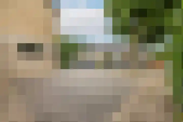 Van Montfoortstraat 2 De Meern thumbnail 35