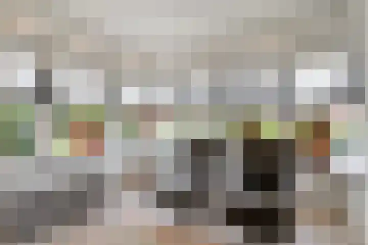 van Musschenbroekstraat 43 Elsendorp thumbnail 13