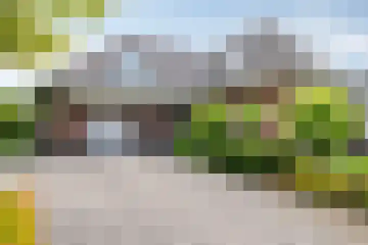 van Musschenbroekstraat 43 Elsendorp thumbnail 5