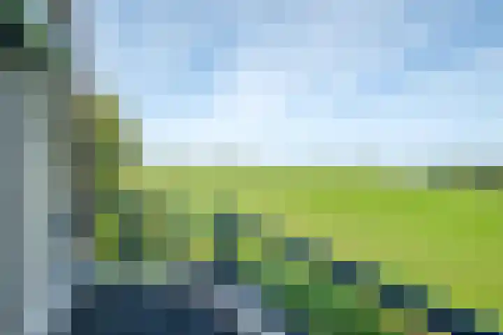 van Nahuysweg 67 Hasselt thumbnail 19