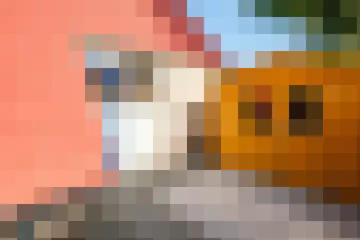 van Nahuysweg 67 Hasselt thumbnail 33