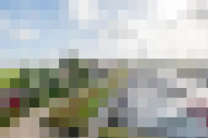 van Nahuysweg 67 Hasselt thumbnail 39